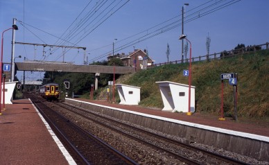Haren - 03-08-1995 - TH.jpg